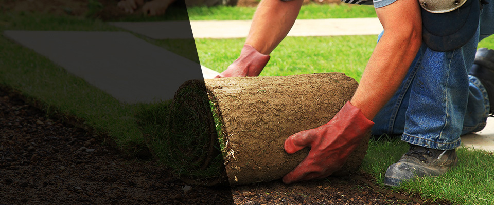 Harlan Landscapers